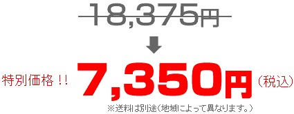 激安特別価格