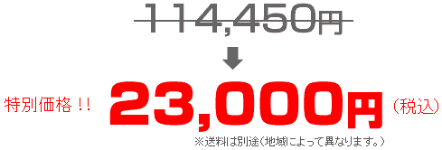 激安特別価格