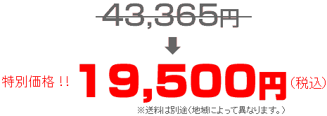 激安特別価格