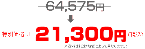激安特別価格