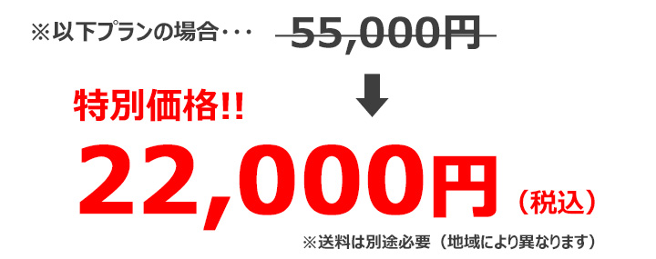 激安特別価格
